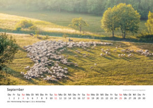 September